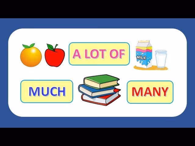 ¿Cómo se usa el many en inglés?