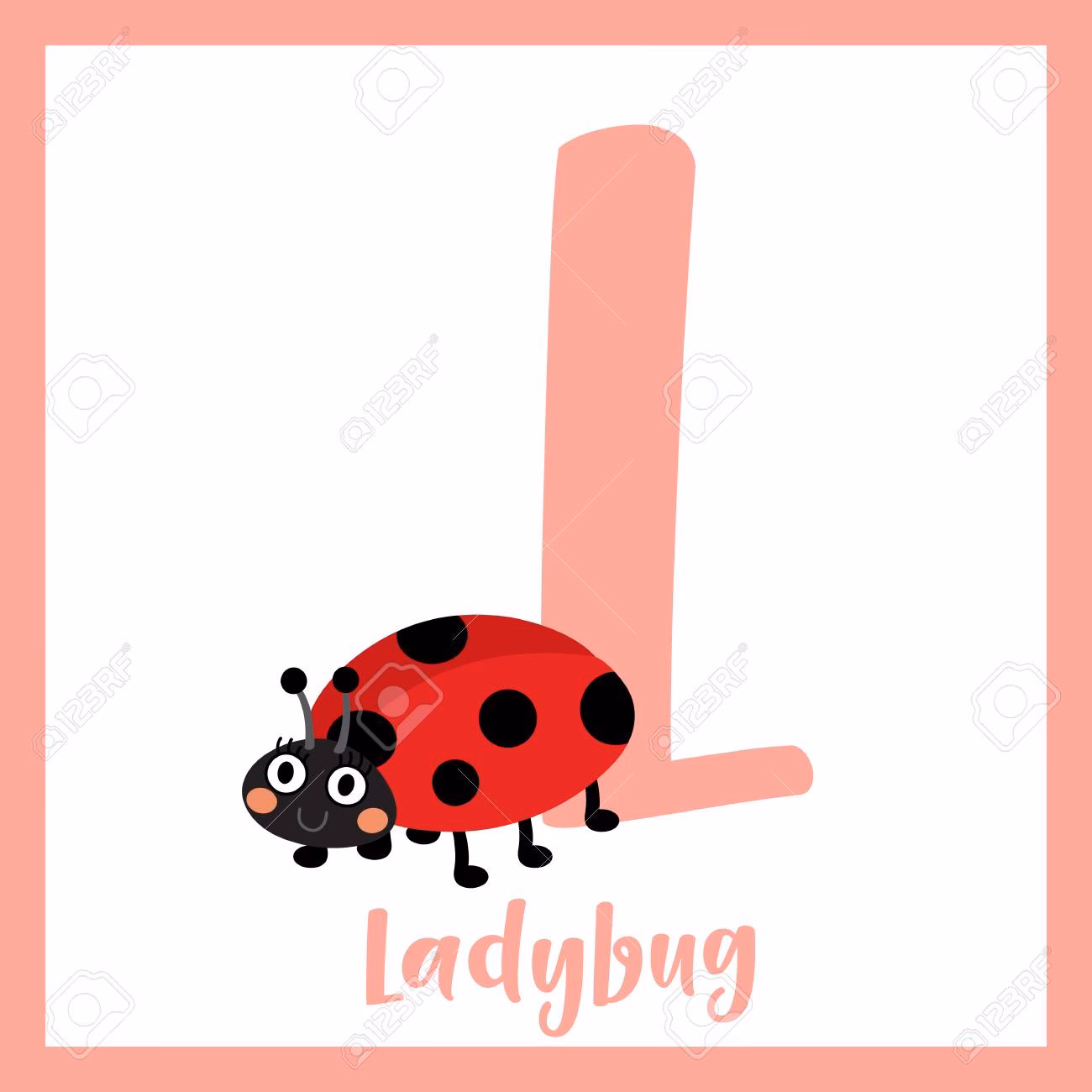 ¿Cómo se llaman las mariquitas en Estados Unidos?