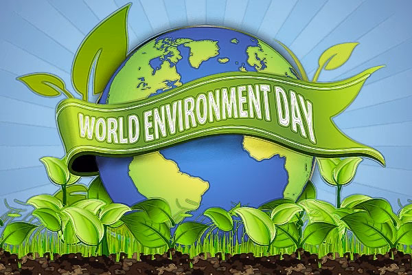 ¿Qué es medio ambiente en inglés y español?