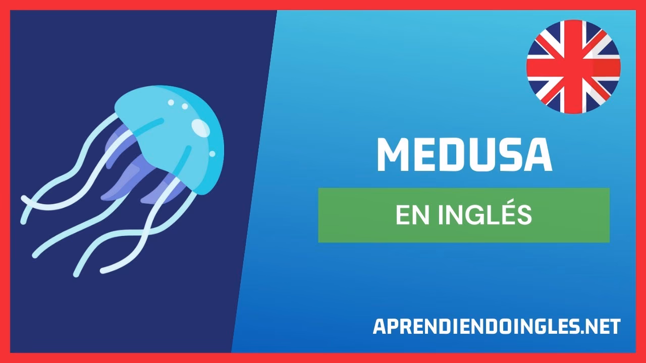 ¿Cómo se dice la Medusa?