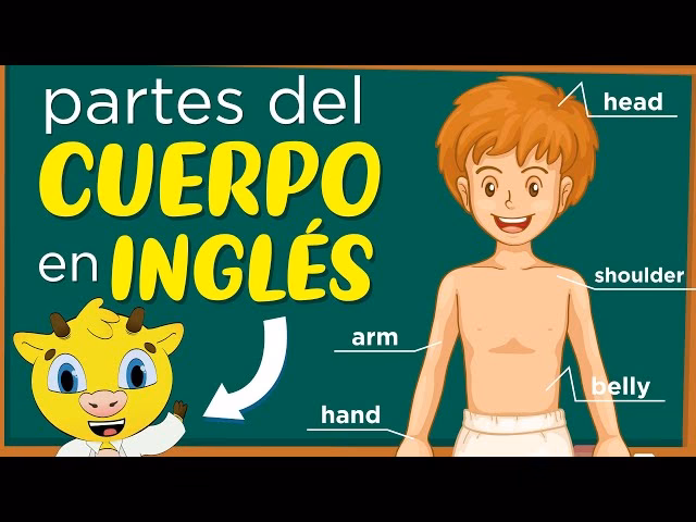 ¿Cómo se dice muslo de pierna en inglés?