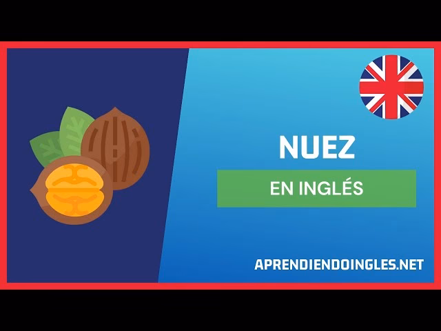 ¿Cómo se dice nuez?