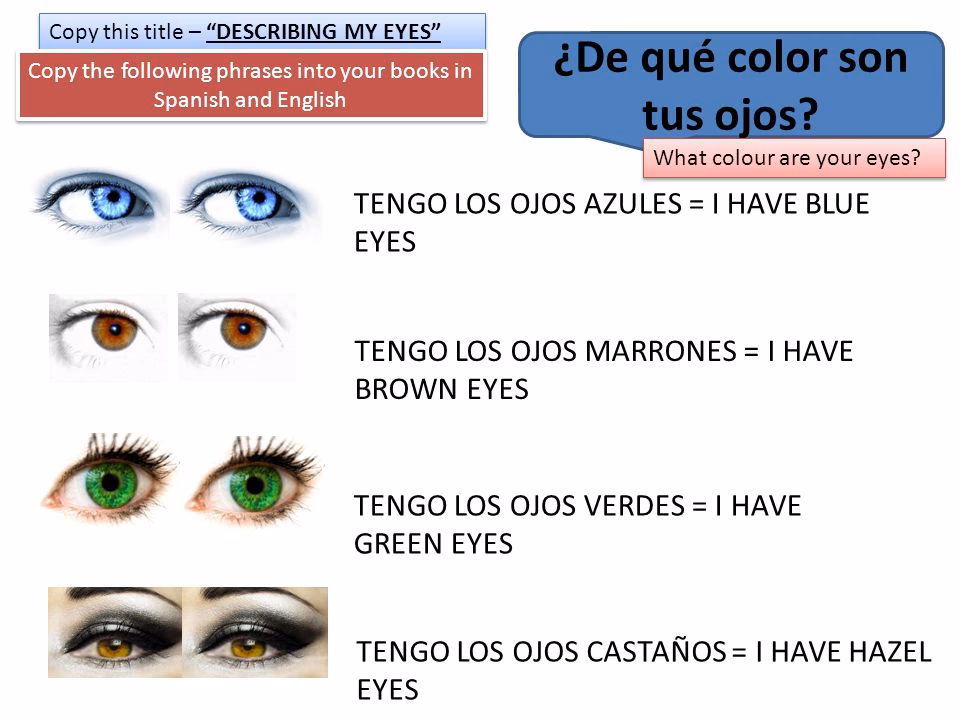 ¿Cómo se dice ojos marrones en inglés?