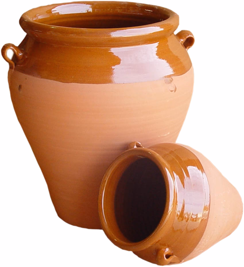 ¿Qué significa orza en español?