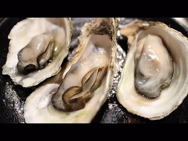 ¿Cómo se llaman los ostiones en inglés?