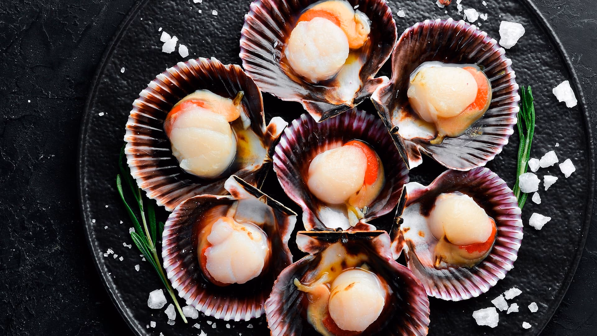 ¿Qué son los ostiones de mar?