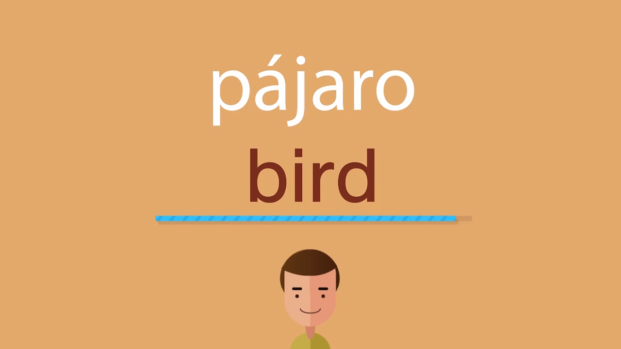 ¿Cómo se dice pajarito?