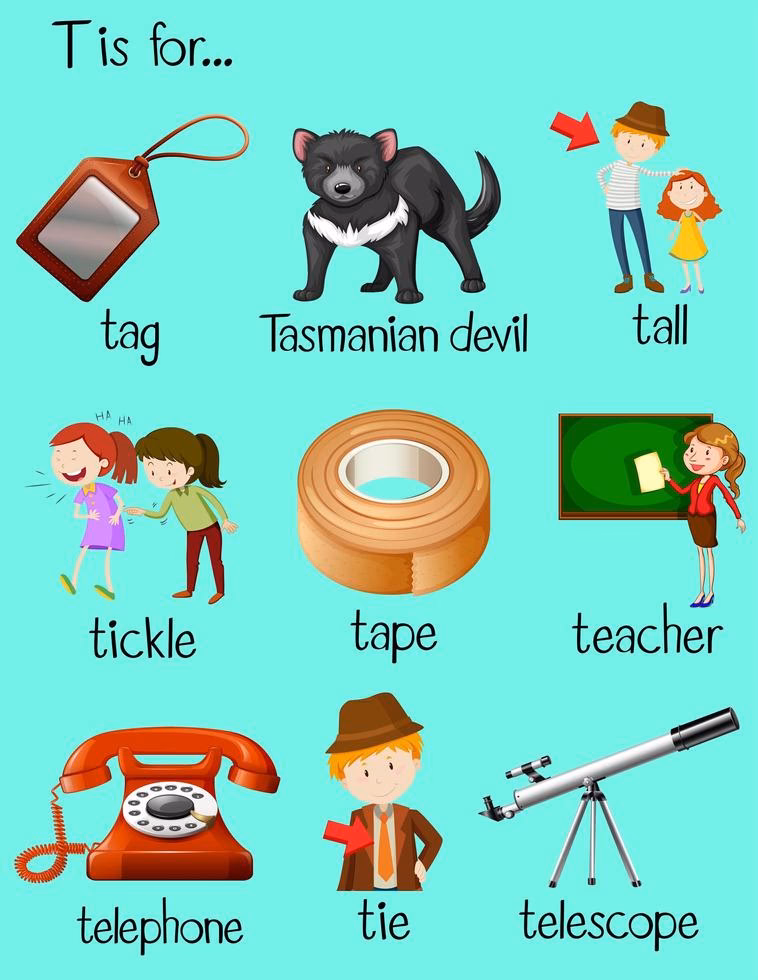 ¿Qué palabras hay con t?