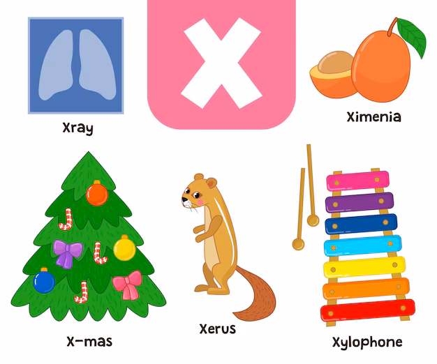 ¿Qué palabras en inglés empiezan con x?