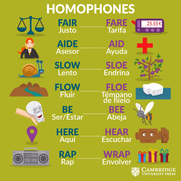 ¿Qué son las palabras homófonas y 20 ejemplos?