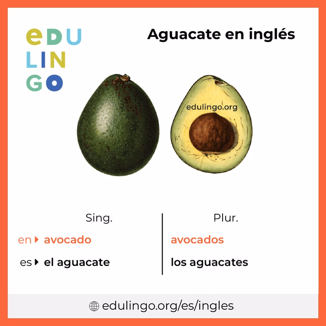 ¿Cómo le dicen palta?