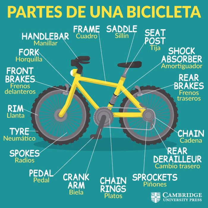 ¿Cuáles son las partes de una bicicleta en inglés para niños?