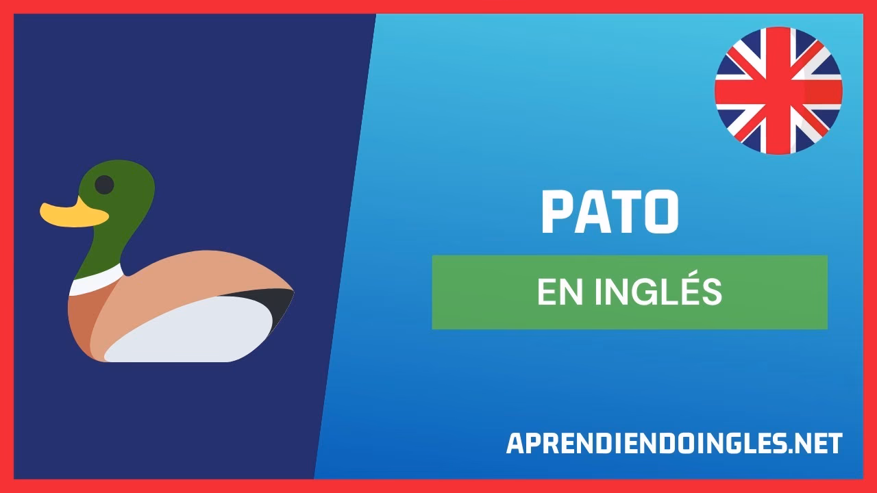 ¿Cómo se escribe pato?