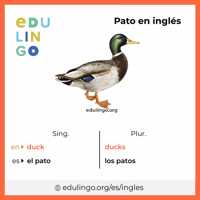¿Cómo se escribe pato?