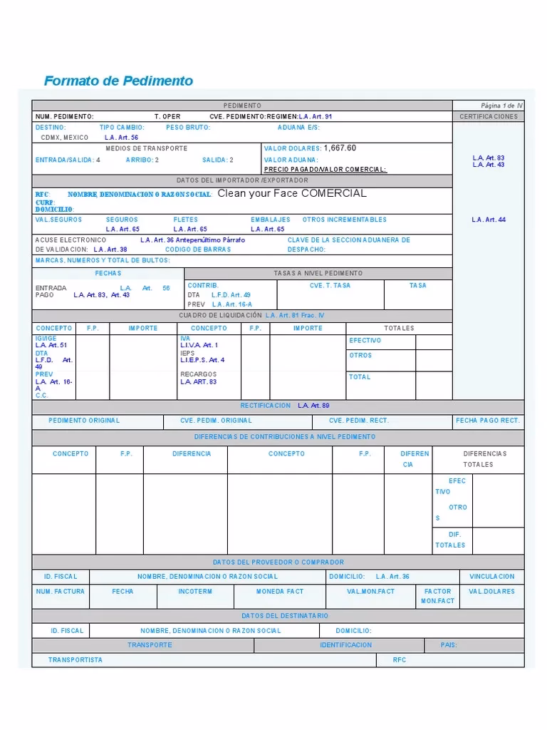 ¿Qué significa pedimento de importación en inglés?
