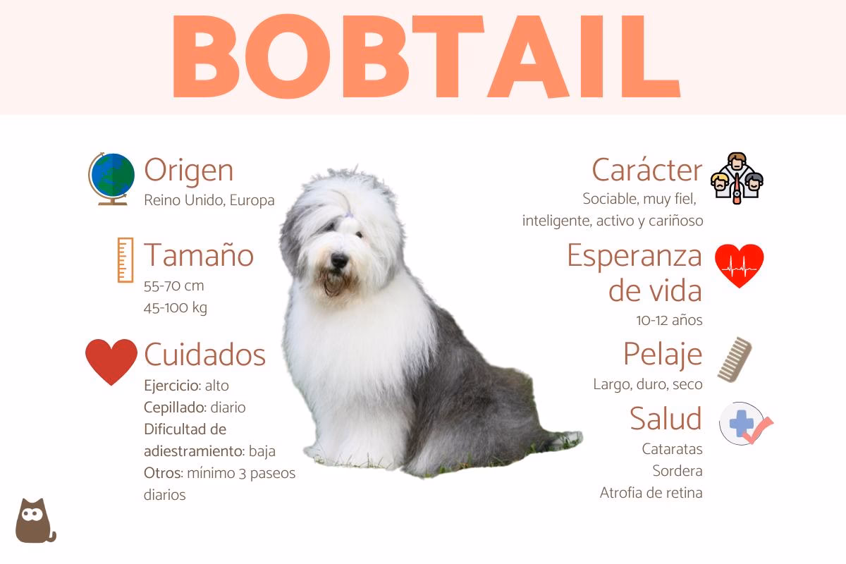 ¿Qué es el pelaje en los perros?