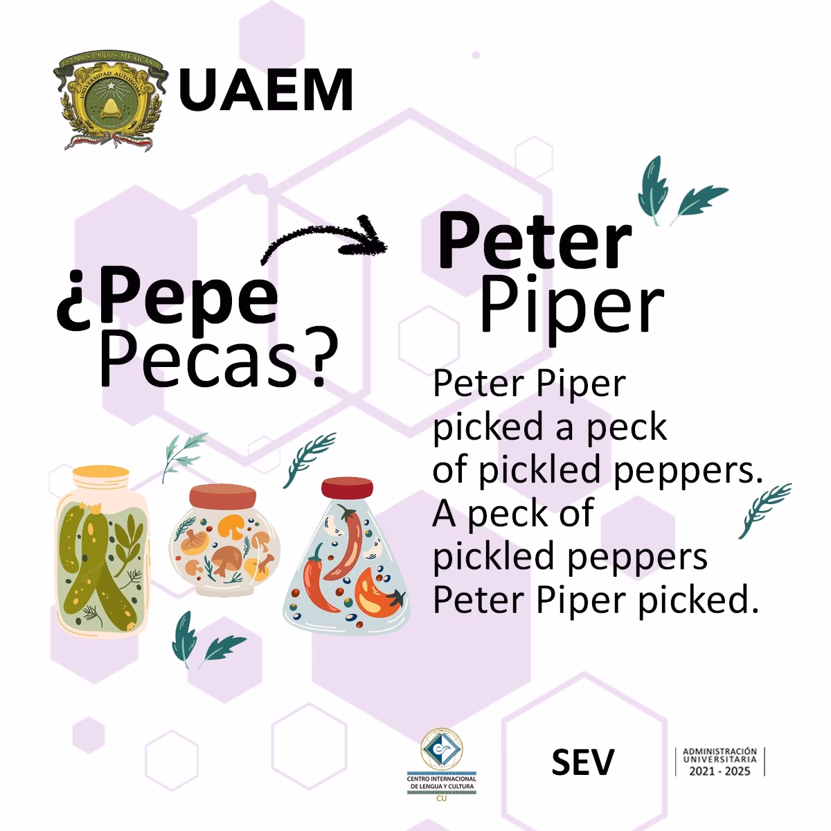 ¿Qué dice Pepe en inglés?