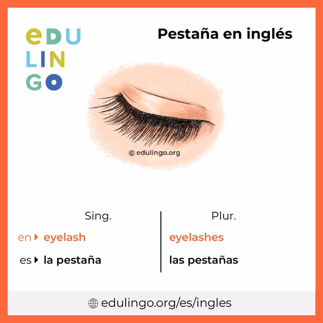 ¿Cómo se llaman las pestañas en inglés?