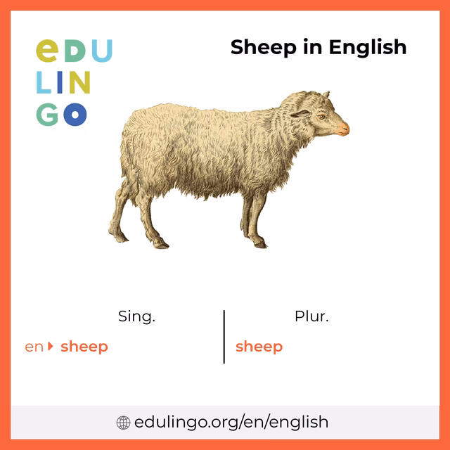 ¿Cuál es el plural de