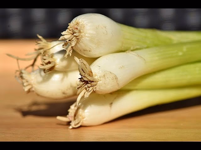 ¿Cómo se llaman los puerros en inglés?