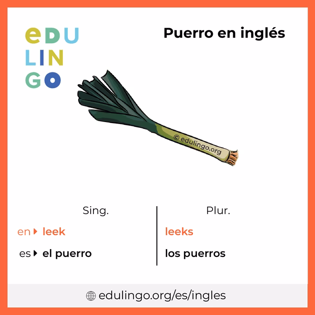 ¿Qué otro nombre tiene la verdura puerro?