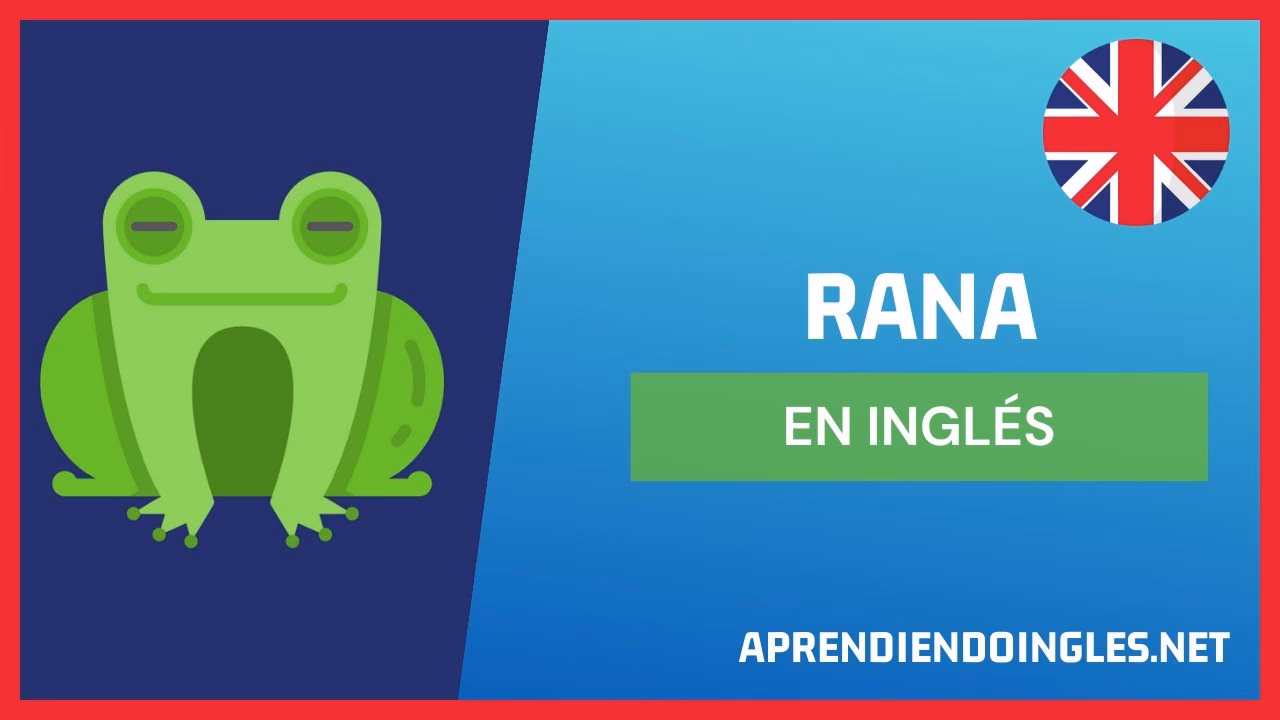 ¿Cómo se dice rana en inglés?
