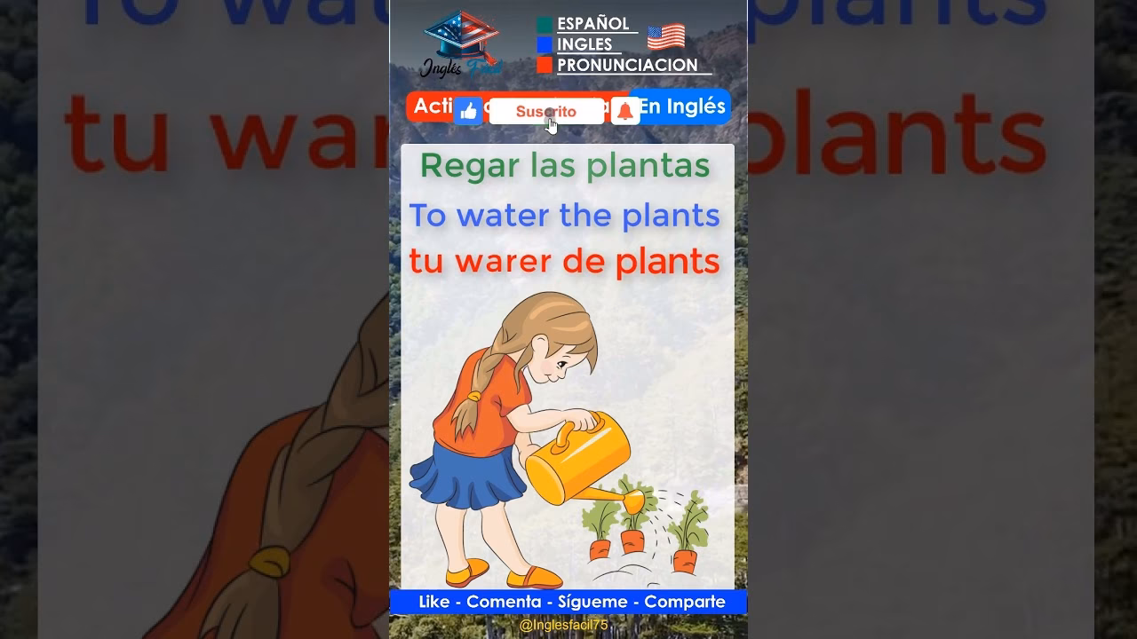 ¿Cómo se escribe regar agua?