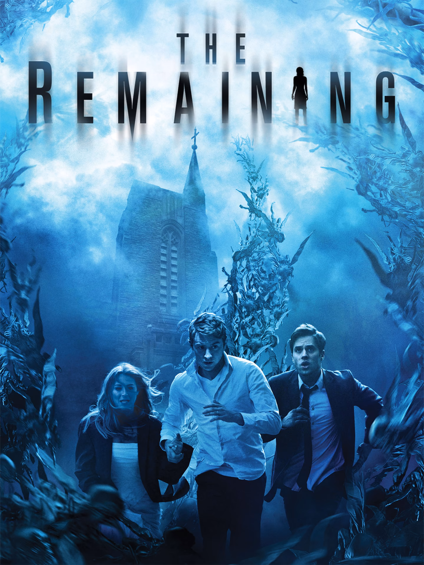 ¿Qué son los recursos remanentes?