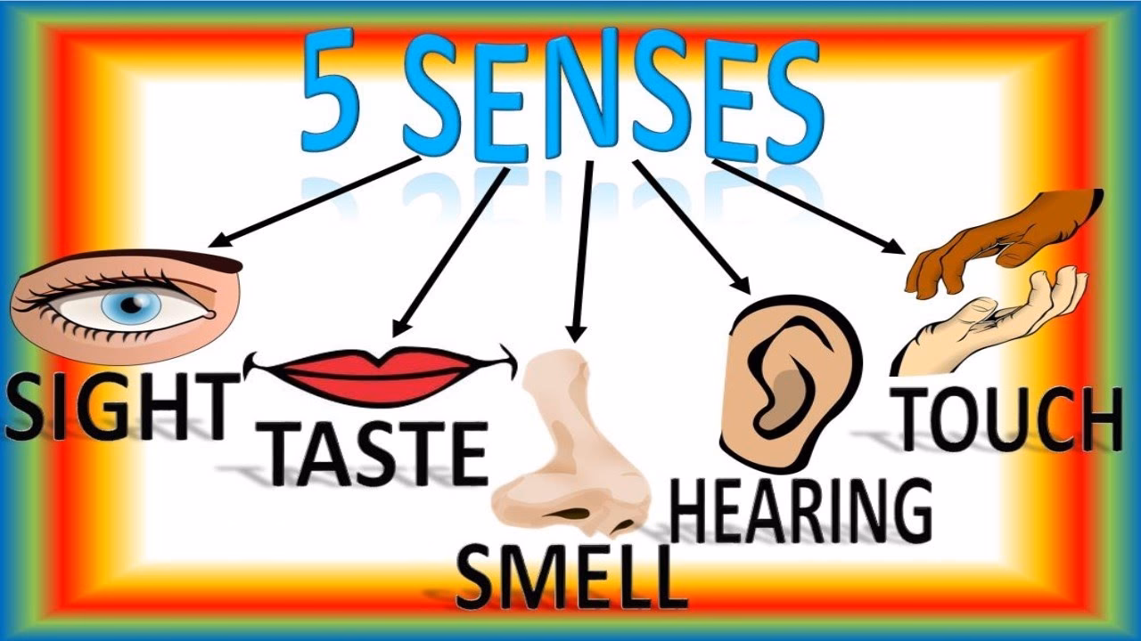 ¿Cómo se dice "todos los sentidos" en inglés?