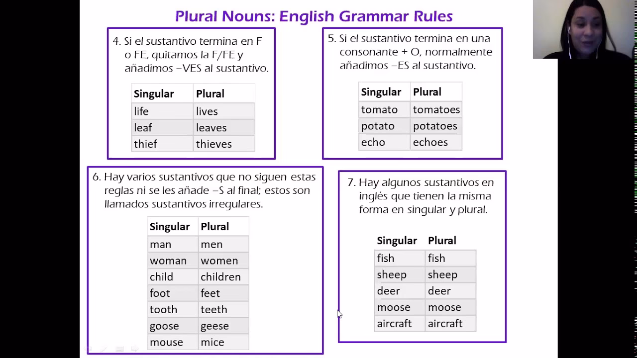 ¿Qué son los sustantivos singulares y plurales?