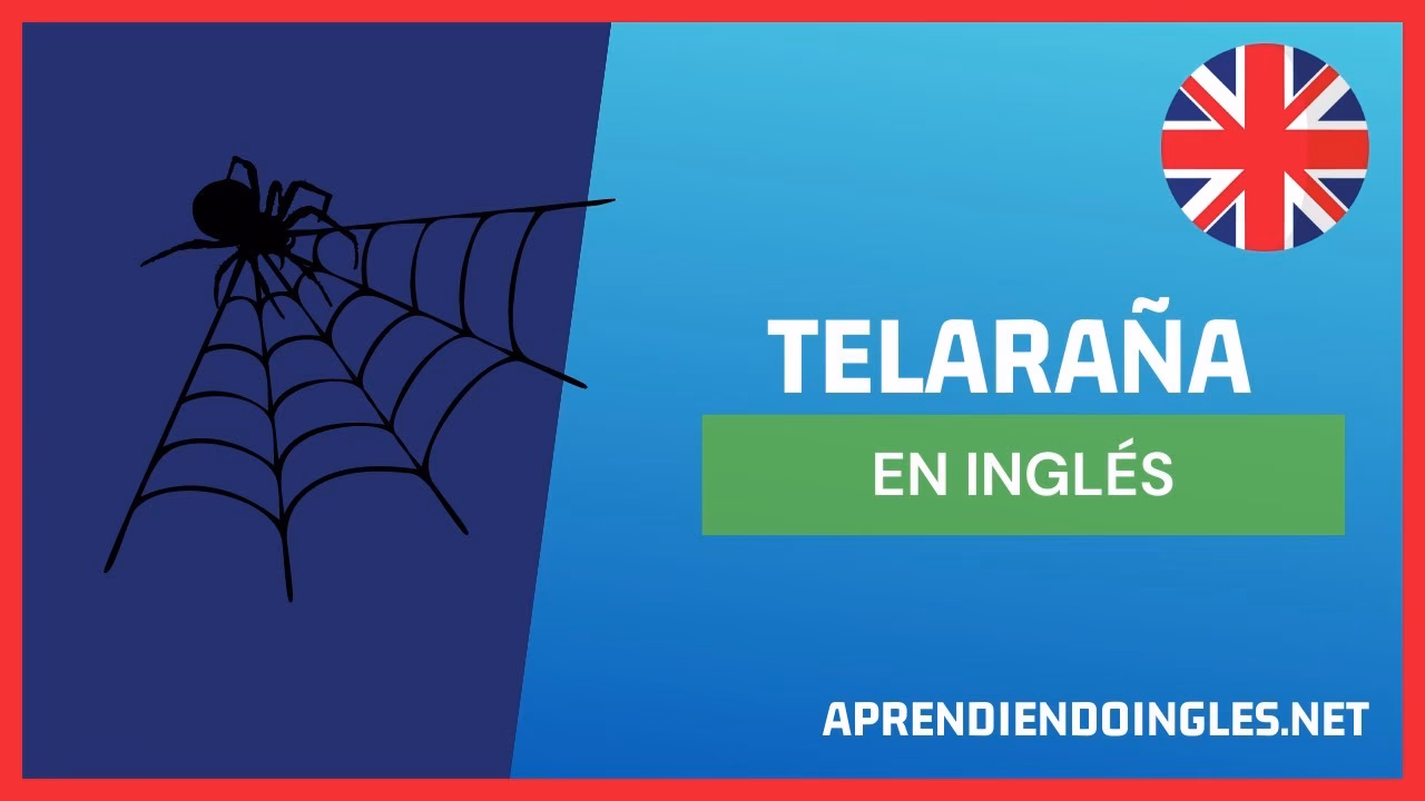 ¿Cómo se dice telaraña o tela de araña?