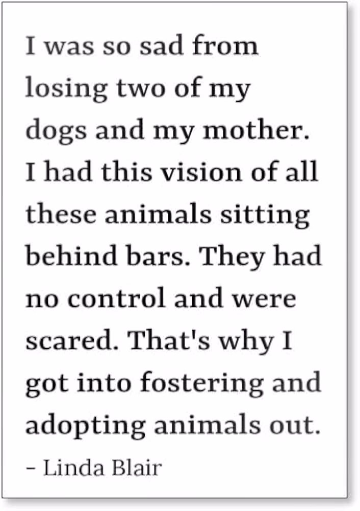 ¿Cómo se dice el texto en inglés?