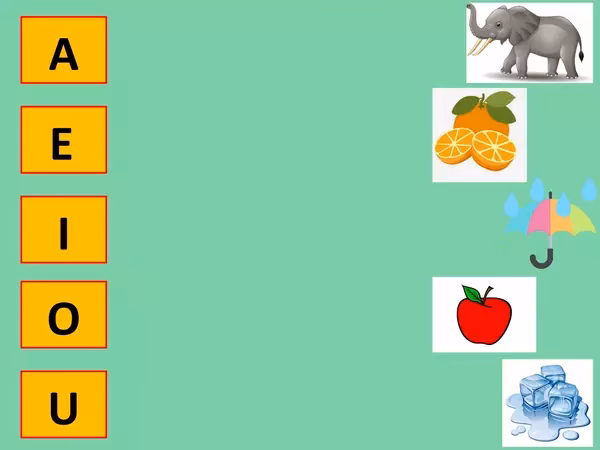 ¿Cómo se dice conector en inglés?