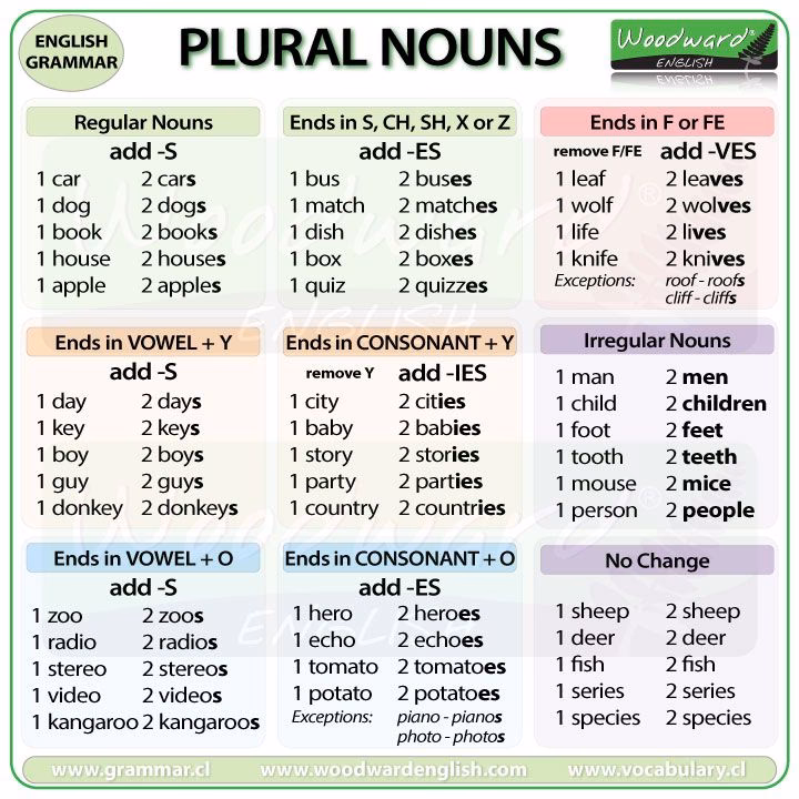 ¿Cuáles son los verbos singulares y plurales?
